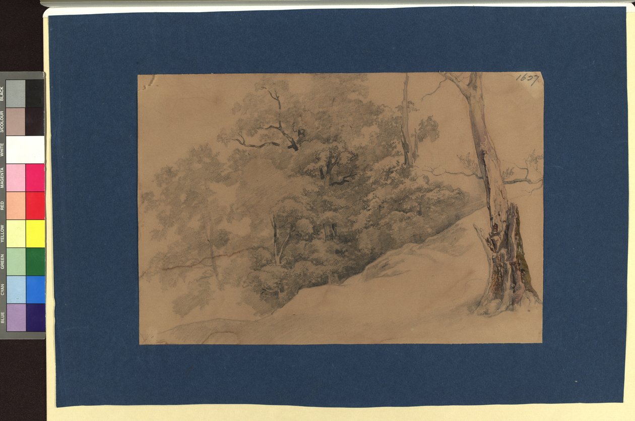 Landschaftsstudie - Josef Kriehuber