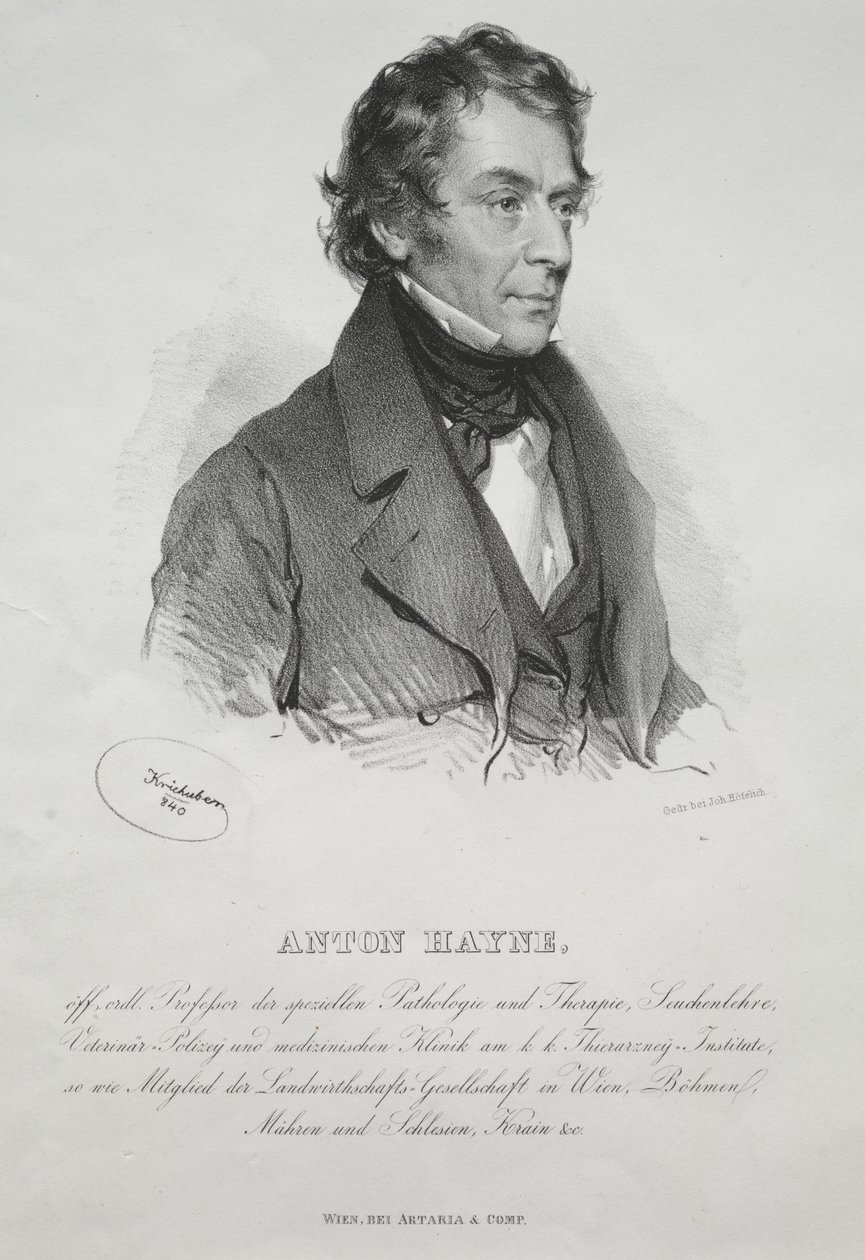 Portrait du Dr. Anton Hayne - Josef Kriehuber