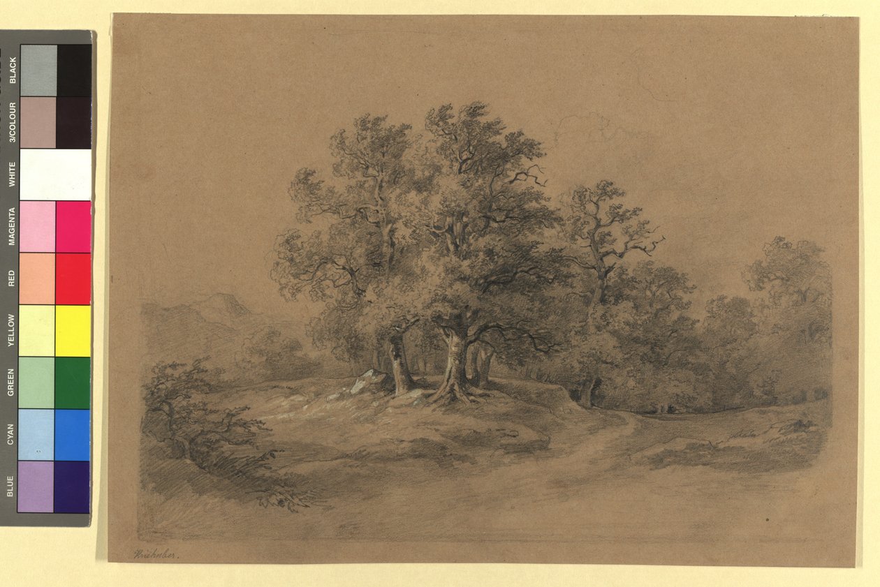 Paysage forestier - Josef Kriehuber