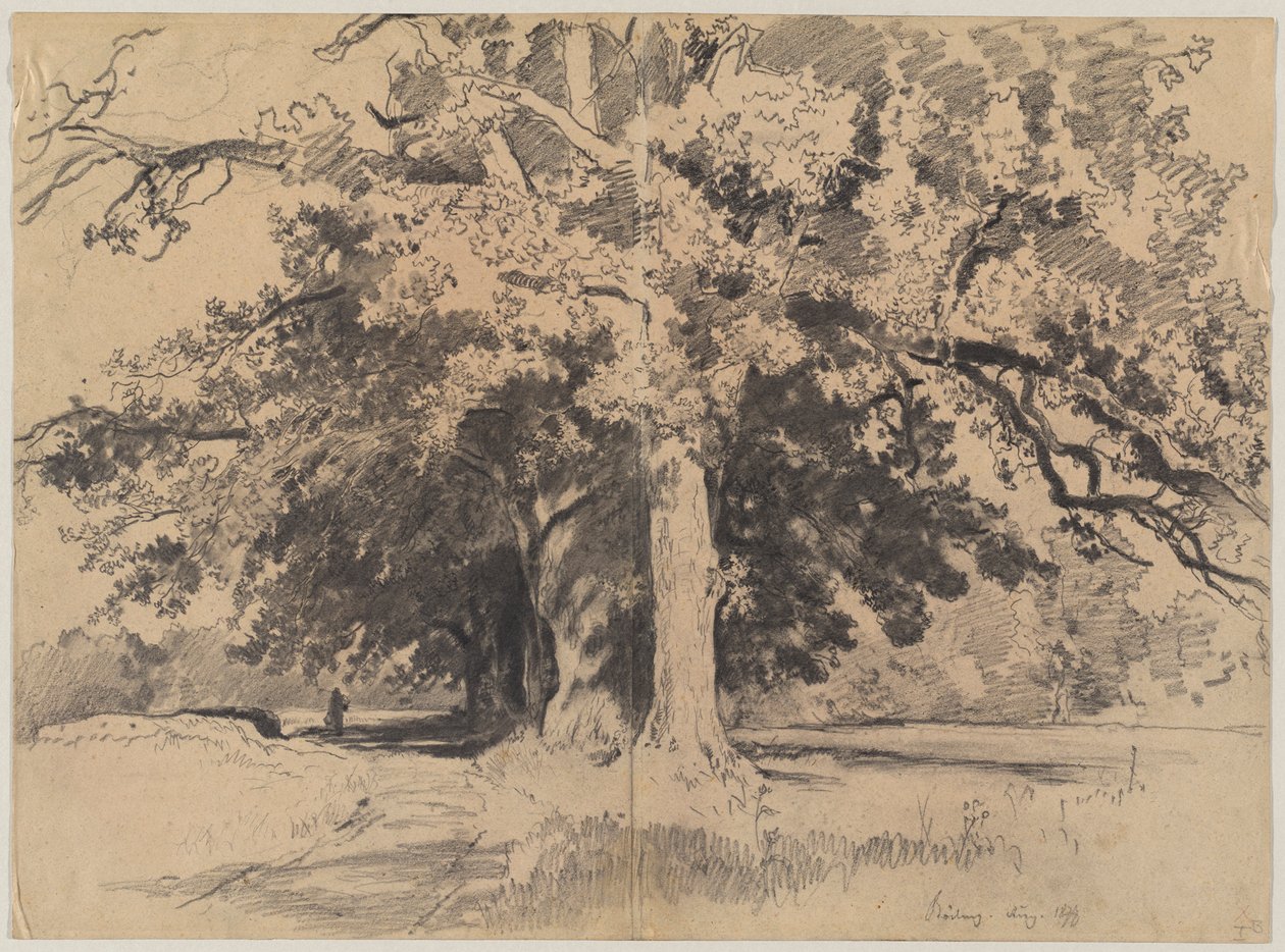 Hauts arbres près de Böding - Josef Wenglein
