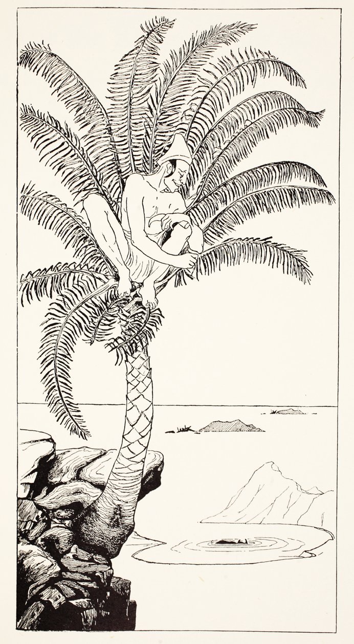 Pestonjee Bomonjee assis dans son palmier et regardant les rhinocéros se baigner, illustration de 