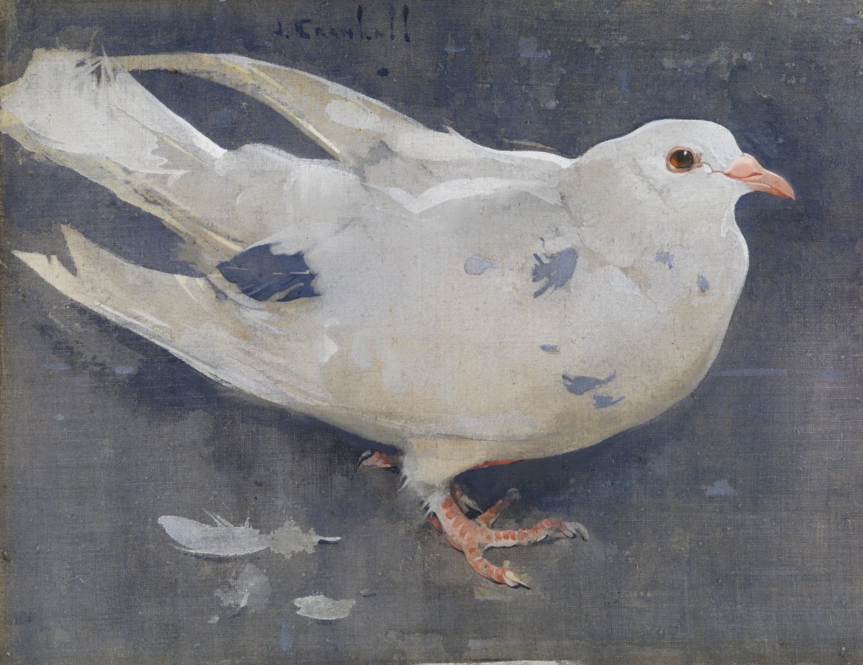 Le Pigeon - Joseph Crawhall