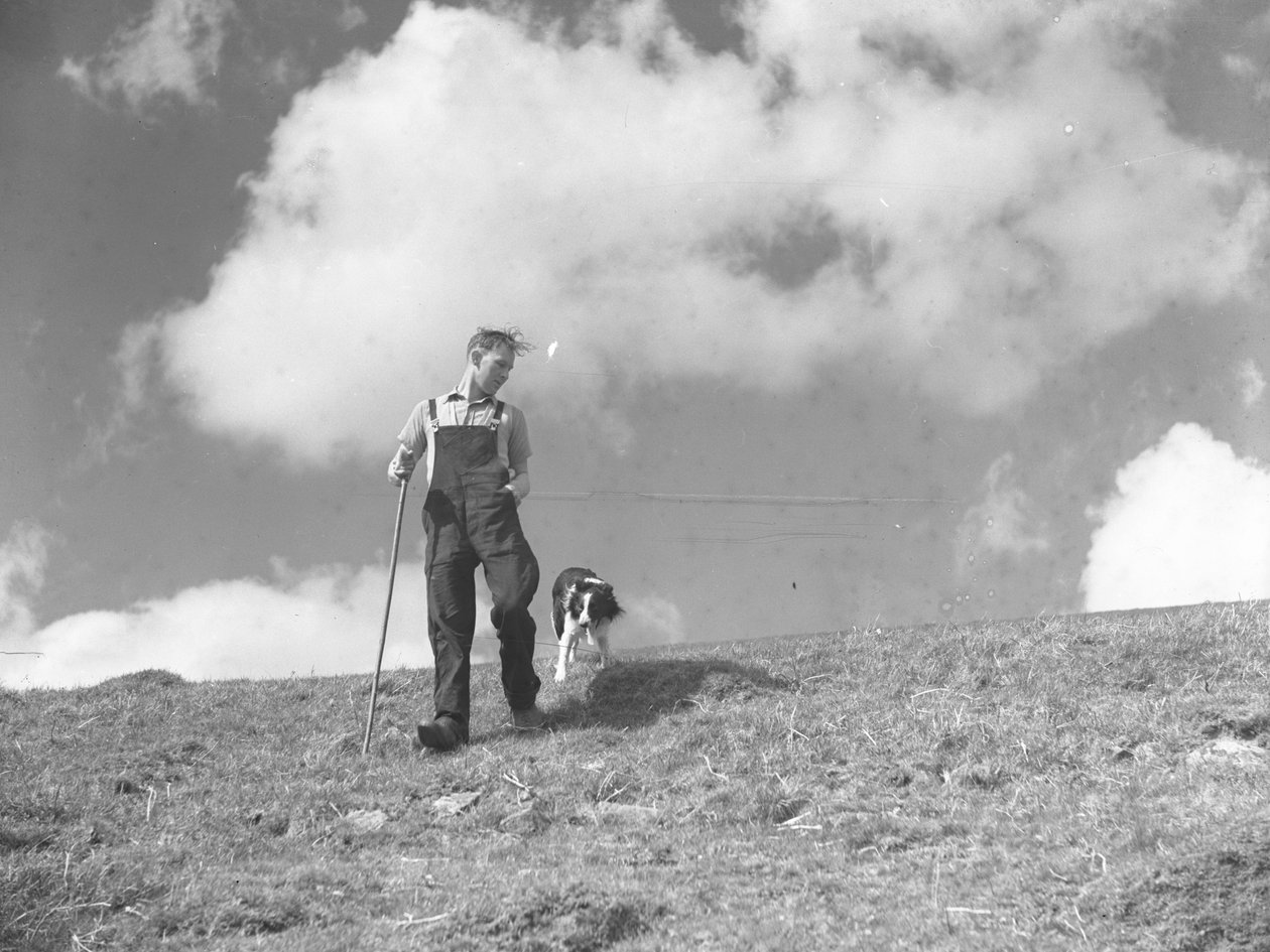 Un berger et son chien de berger en promenade à Martindale - Joseph Hardman