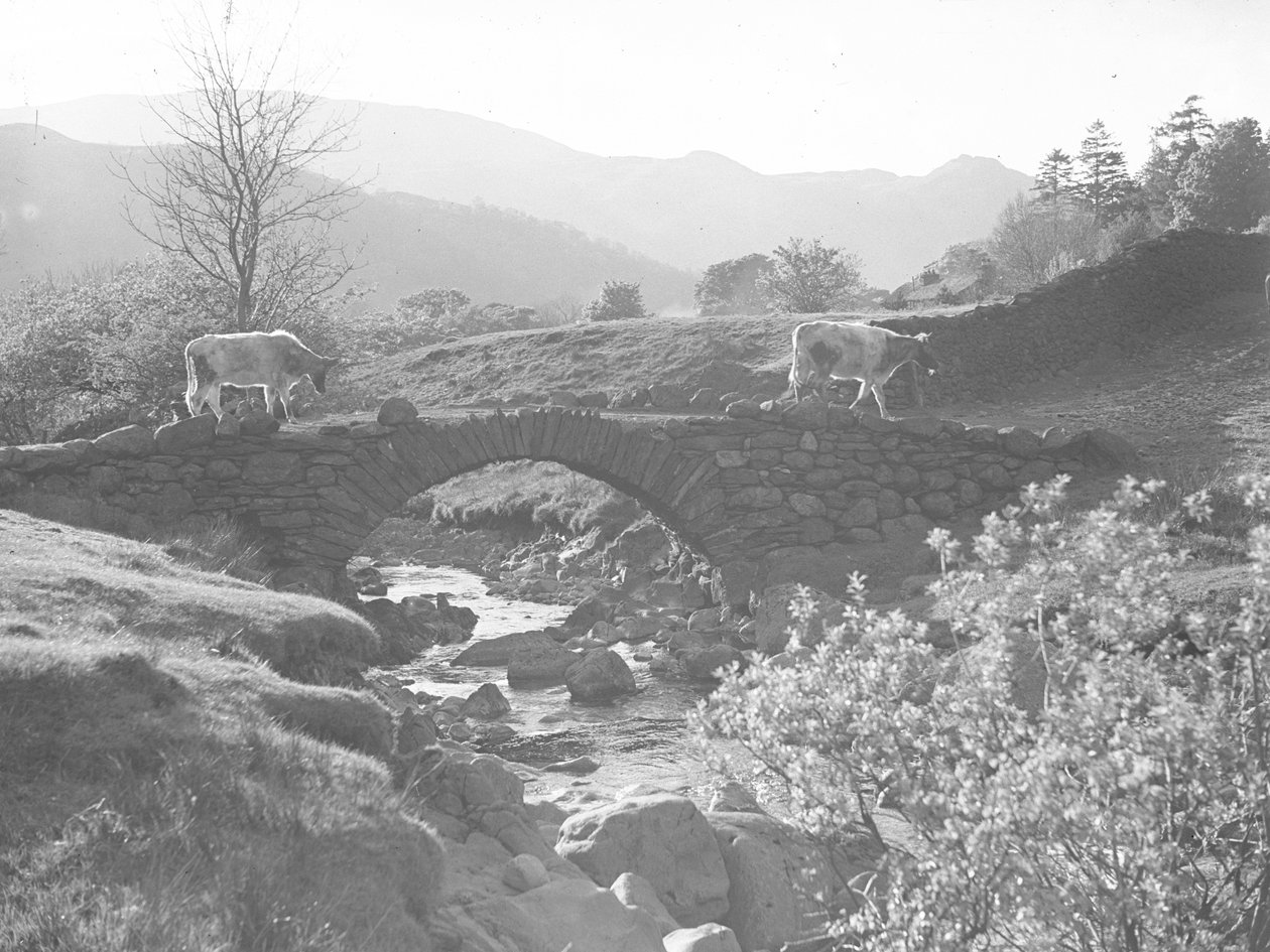 Vaches marchant sur un pont de pierre avec un ruisseau en contrebas - Joseph Hardman