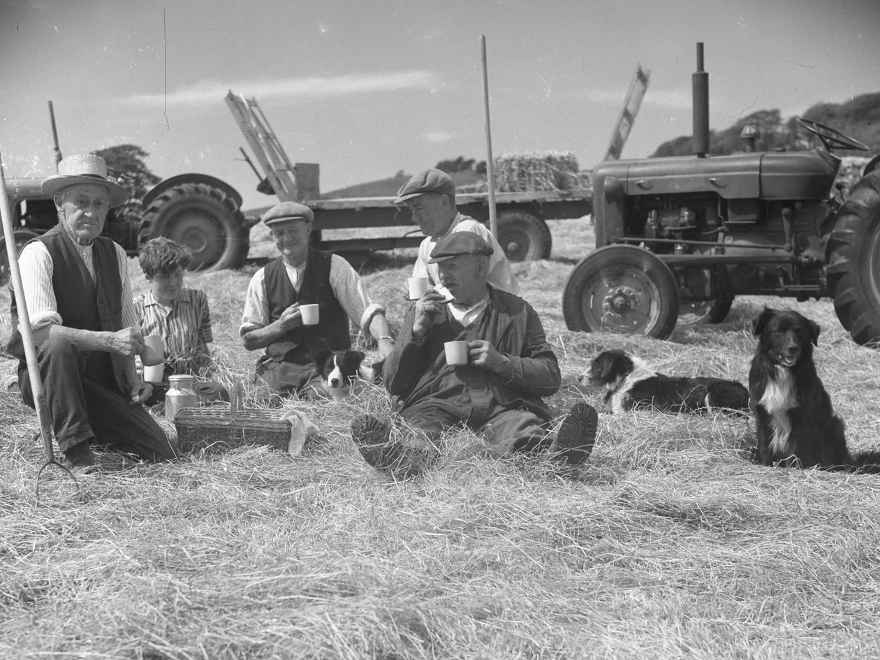 Travailleurs agricoles se relaxant dans un champ de foin avec des chiens et des tracteurs en arrière-plan - Joseph Hardman