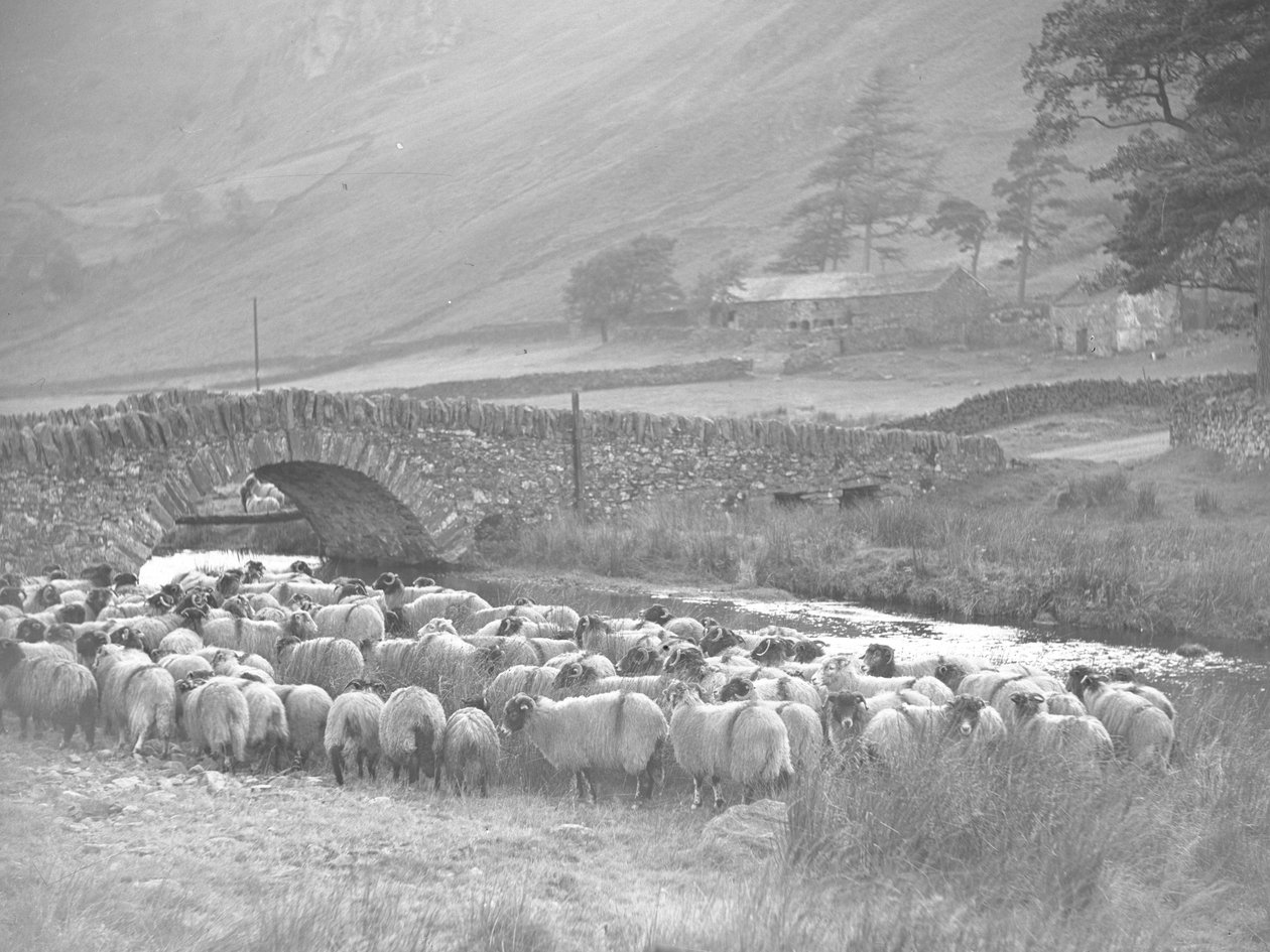 Rassemblement de moutons devant un pont de pierre au-dessus de l