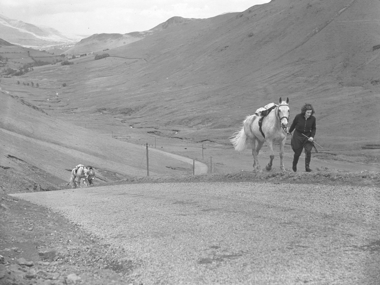 Chevaux menés au col par des cavaliers qui ont mis pied à terre - Joseph Hardman