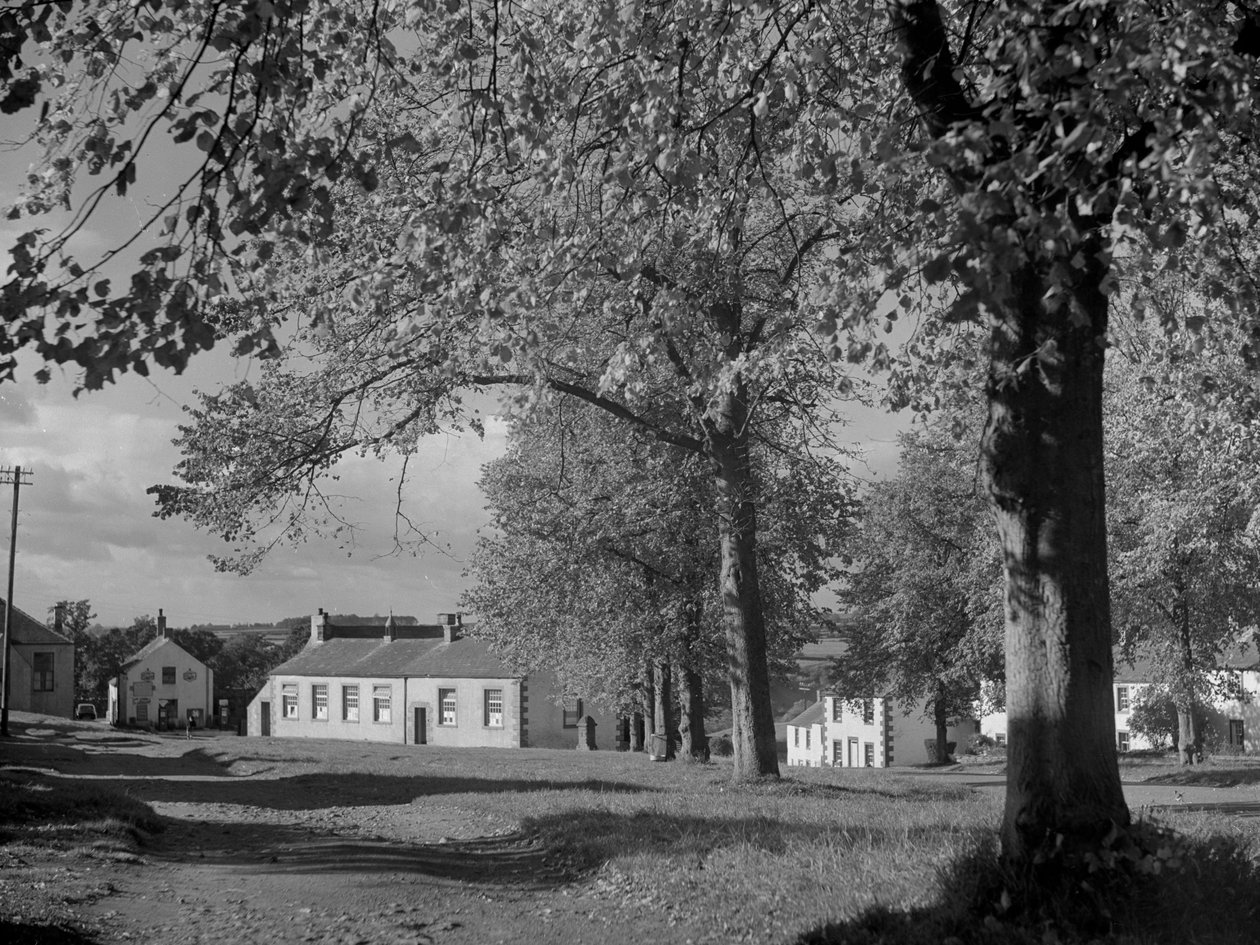 Arbres en feuilles et vue sur les bâtiments du village - Joseph Hardman