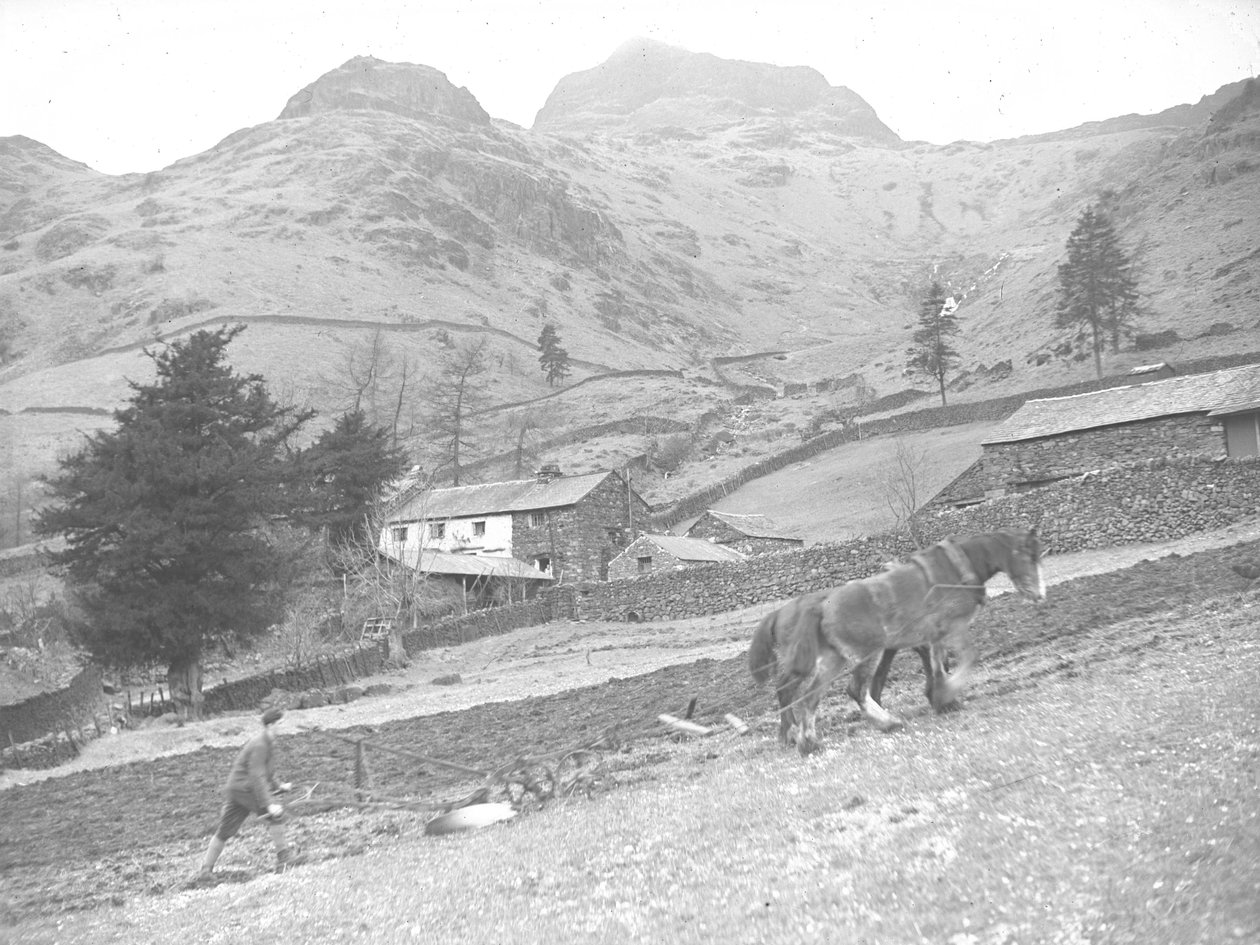Deux chevaux labourant avec un seul ouvrier agricole - Joseph Hardman