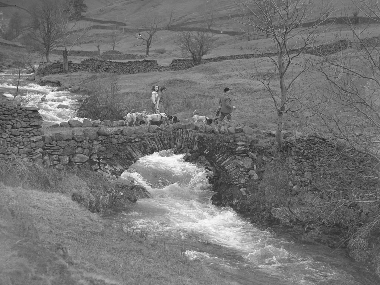 Deux femmes et un homme marchent sur un pont avec des chiens à leurs pieds. - Joseph Hardman