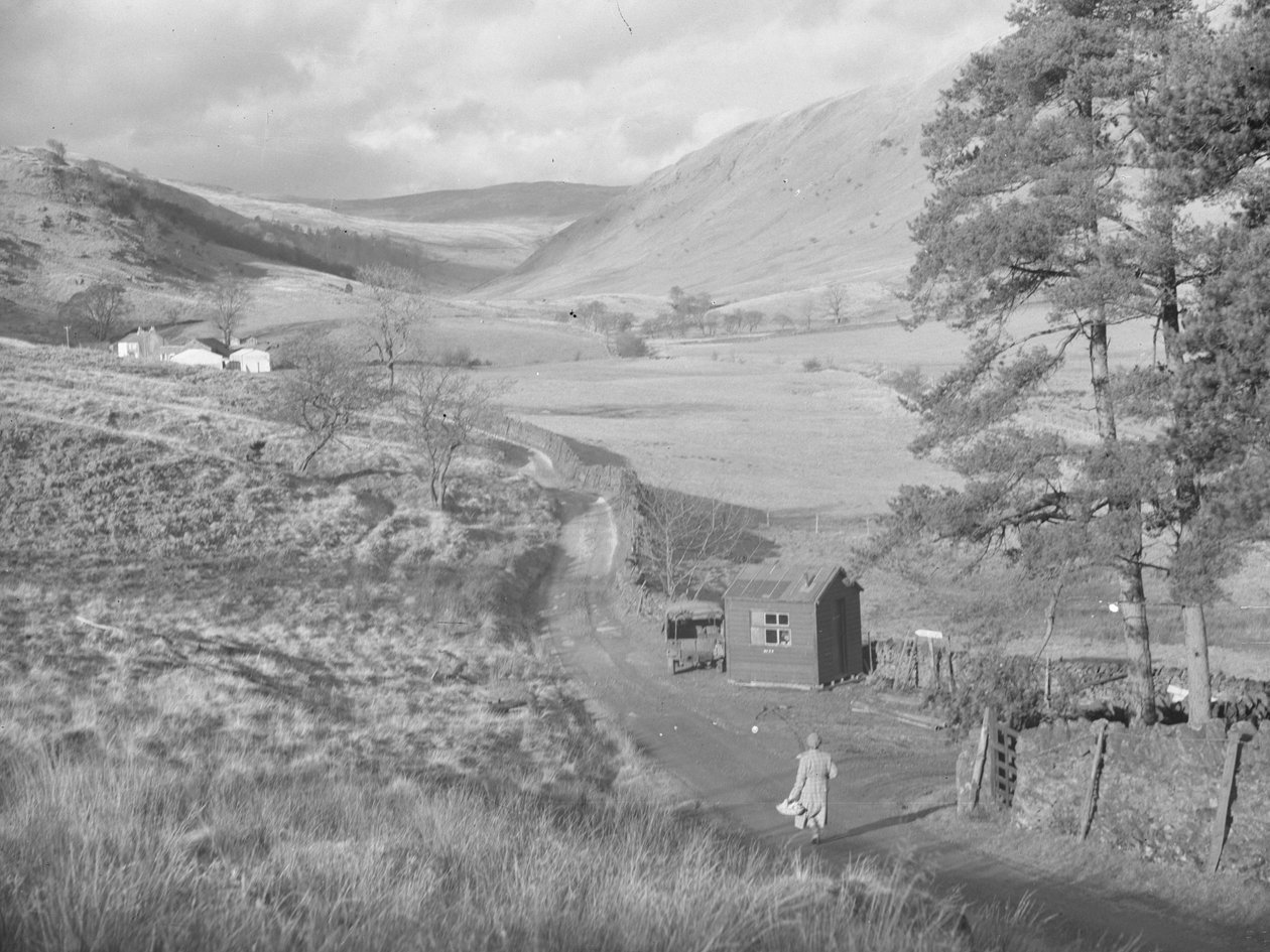 Vue sur les champs et les collines de Bannisdale - Joseph Hardman