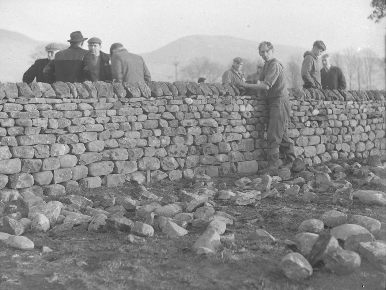 Muralistes travaillant sur un mur de pierres sèches - Joseph Hardman