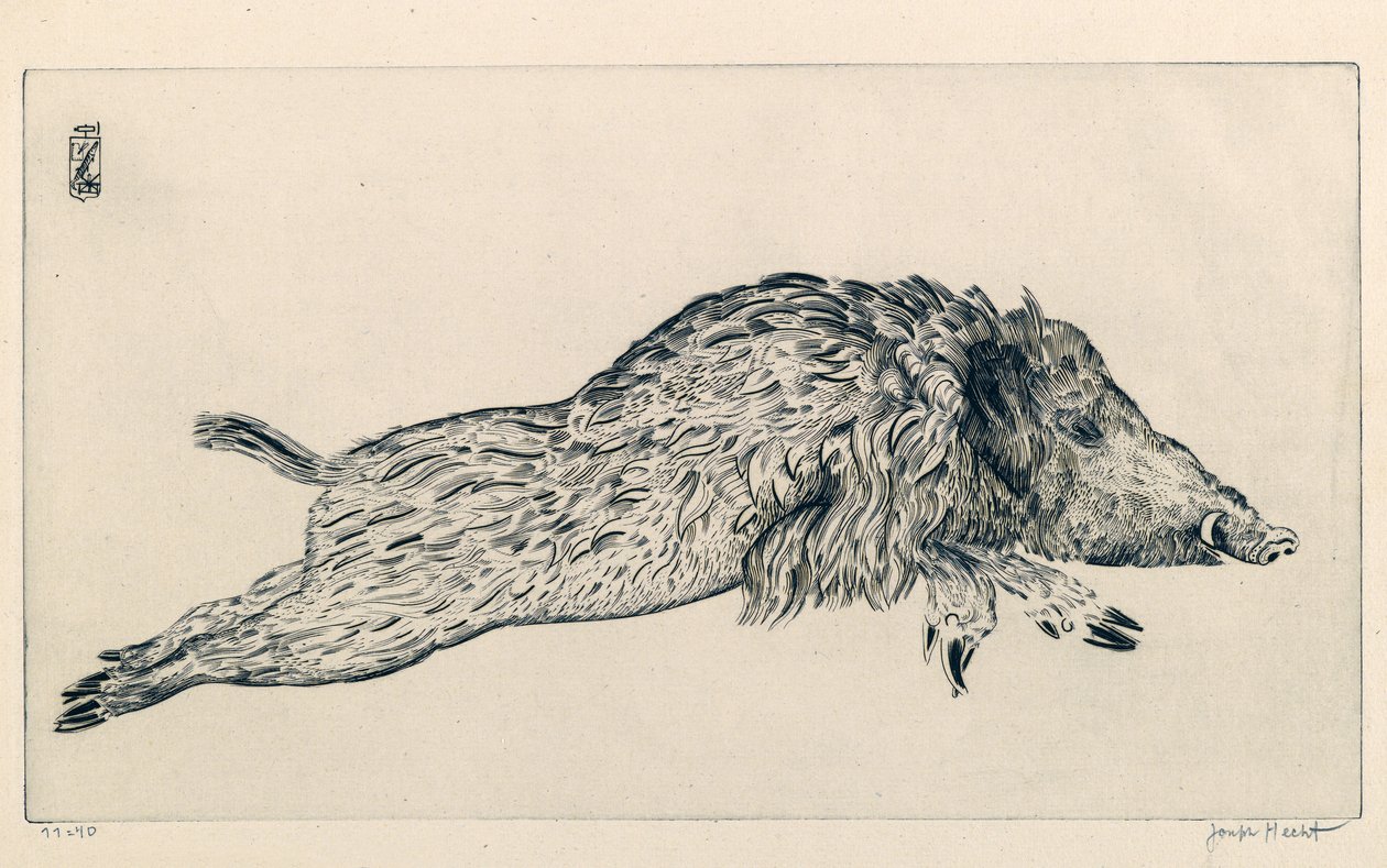 Sanglier (Le Sanglier) - Joseph Hecht