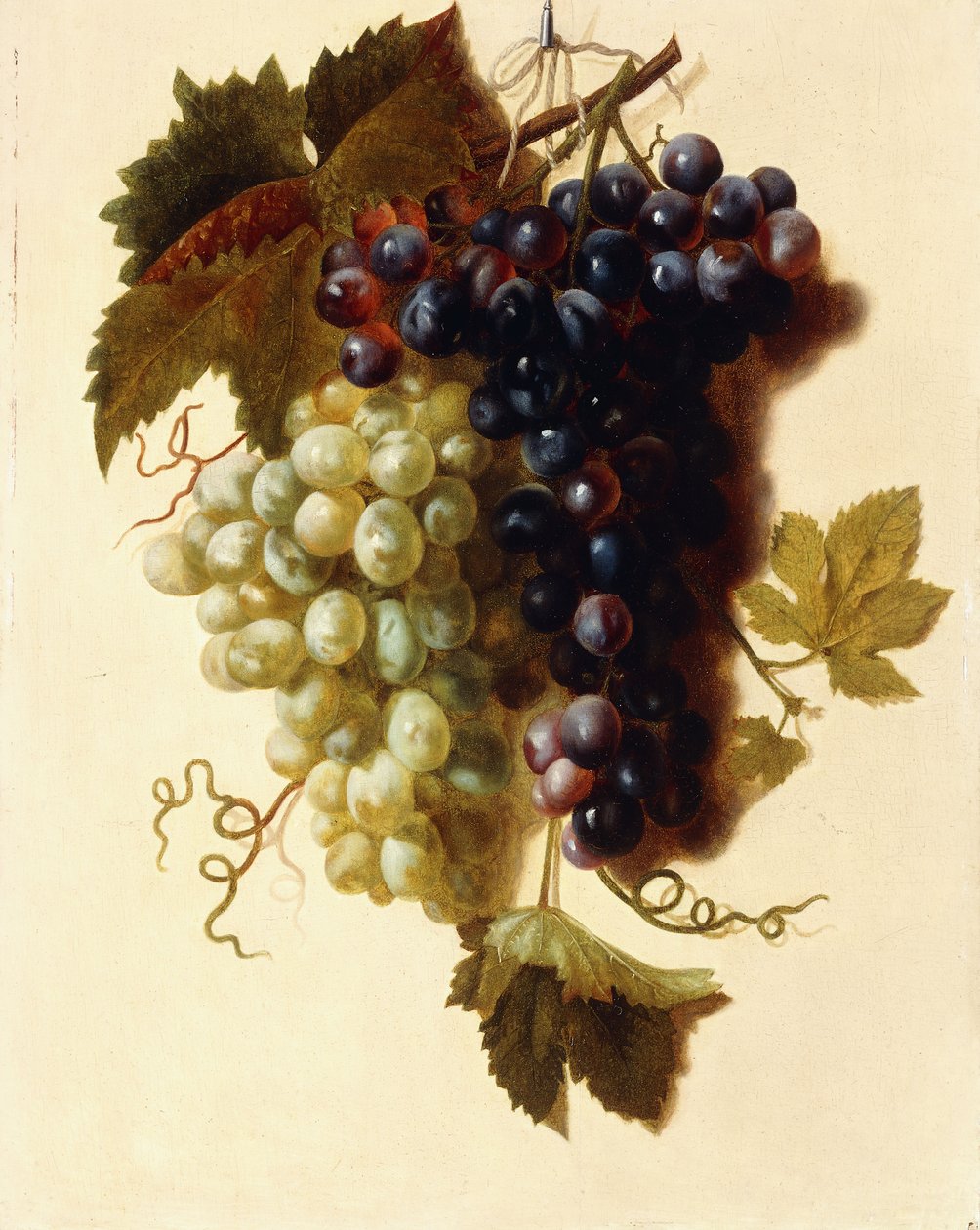 Grappe de raisins verts et rouges suspendue à une corde, vers 1796 - Joseph Laurent Malaine