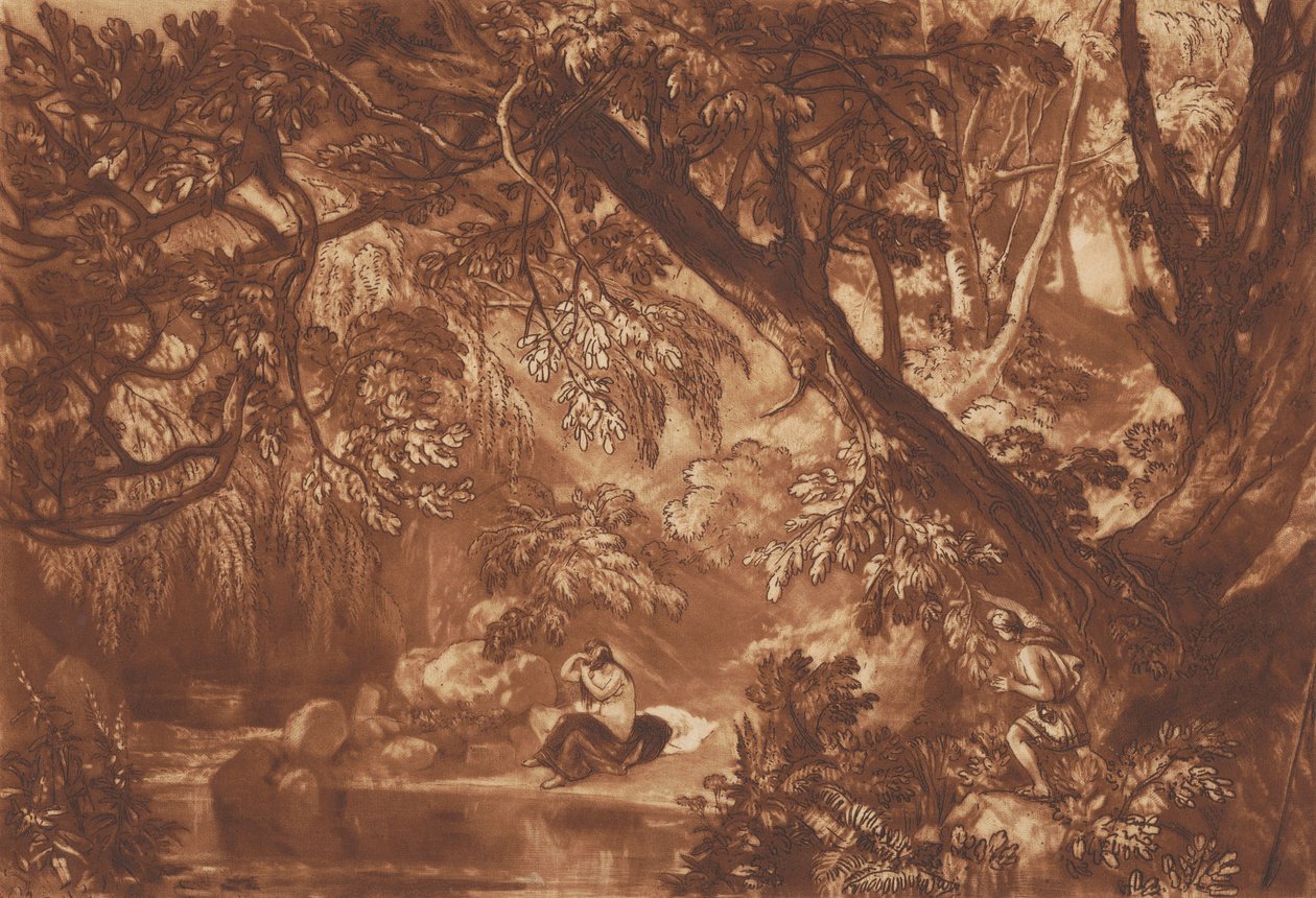 Aesacus et Hesperie - Joseph Mallord William Turner