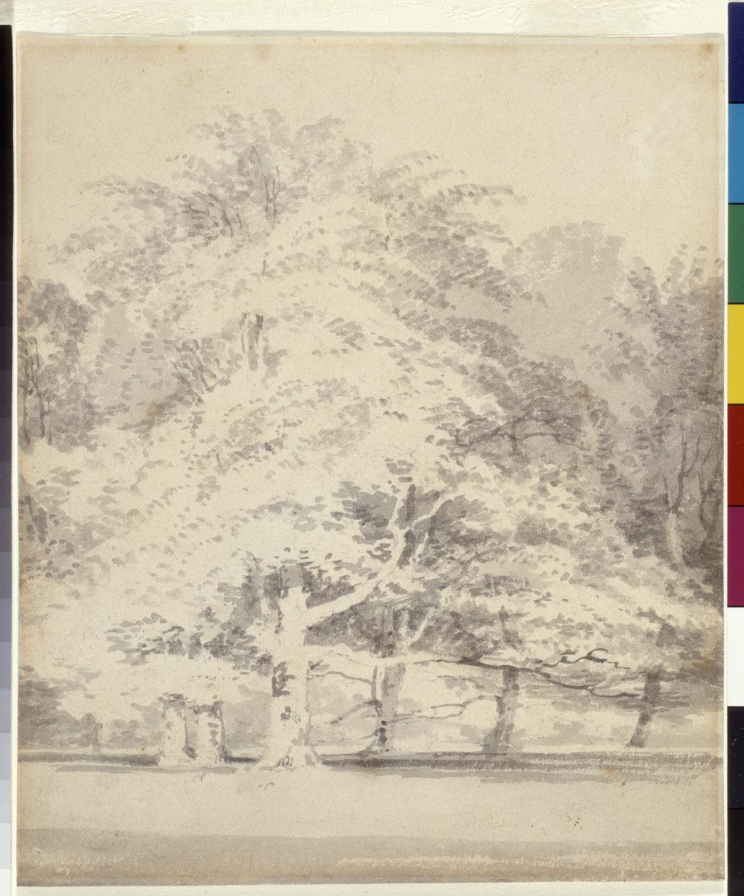 Hêtres - Joseph Mallord William Turner