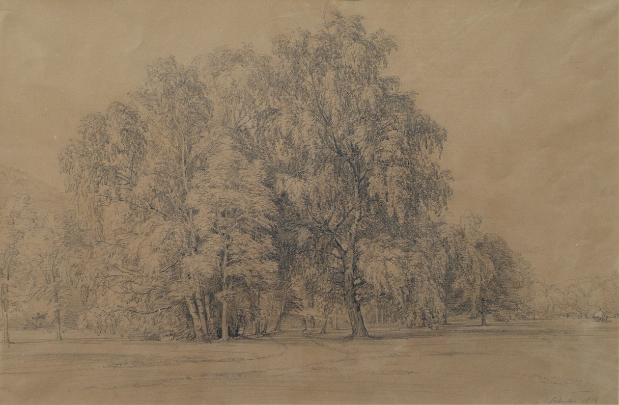 Groupe de bouleaux dans le parc du château de Seebenstein en Basse-Autriche - Joseph Martin Höger