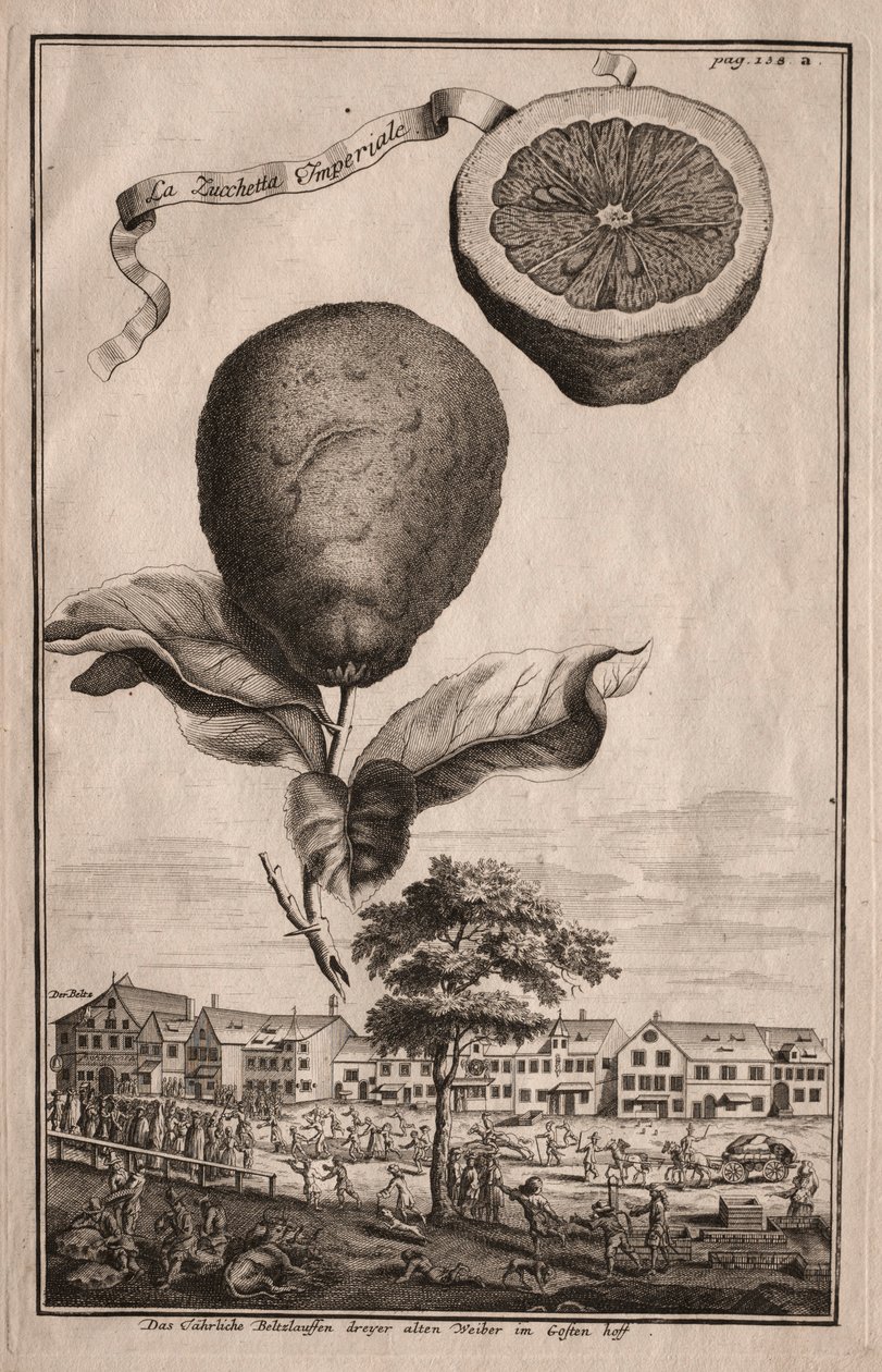 Nurnbergische Hesperides : La Luchetta Imoperiale, 1714 - Joseph de Montalegre