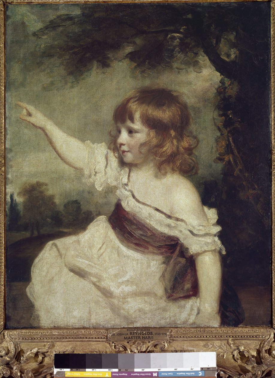 Maître Hare (Francis George Hare) - Joshua Reynolds