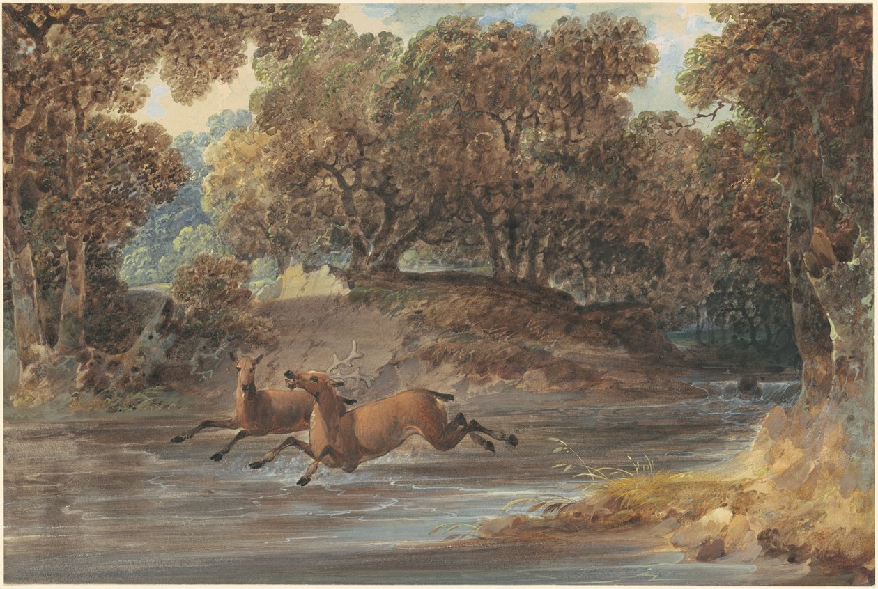 Paysage avec cerfs, Caroline du Nord - Joshua Shaw