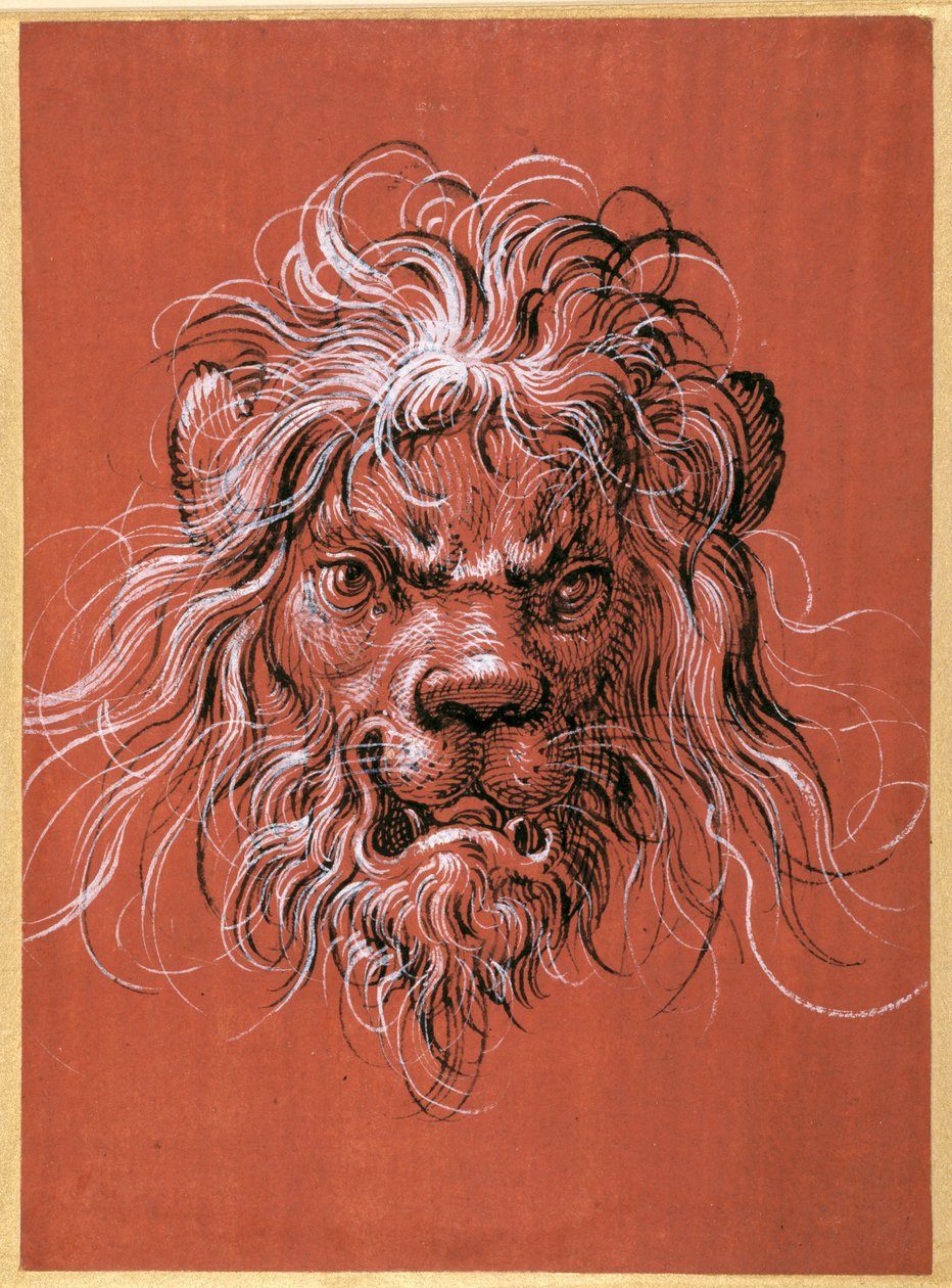 Tête de lion - Jost Amman