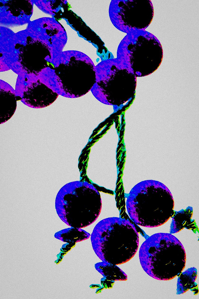 Perles de prière violettes, de la série Misbaha, 2016 (photographie) - Joy Lions