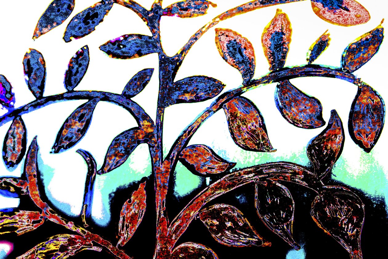 Printemps, de la série Synagogue italienne, 2015 (techniques mixtes) - Joy Lions