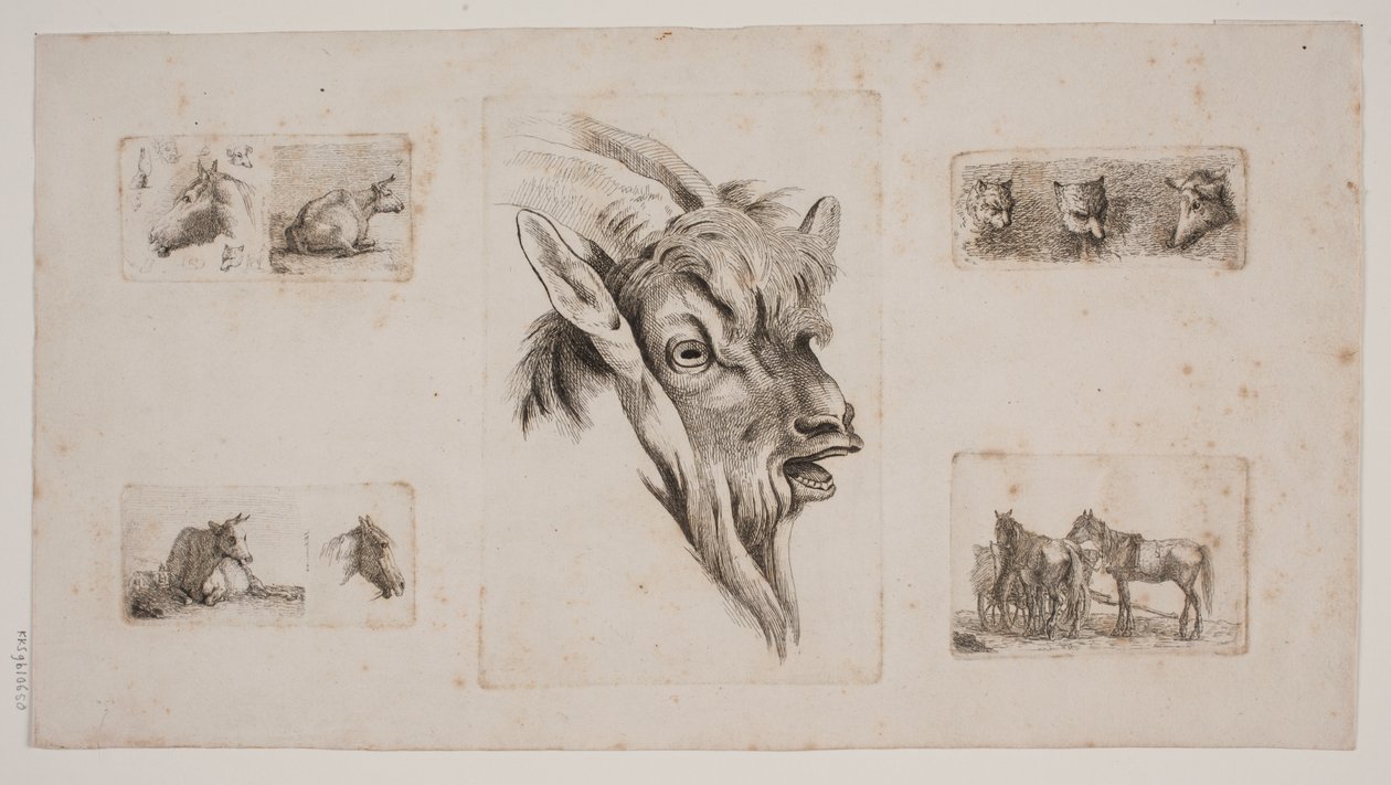 Chevaux, vaches, chats et une tête de chèvre. Feuille d