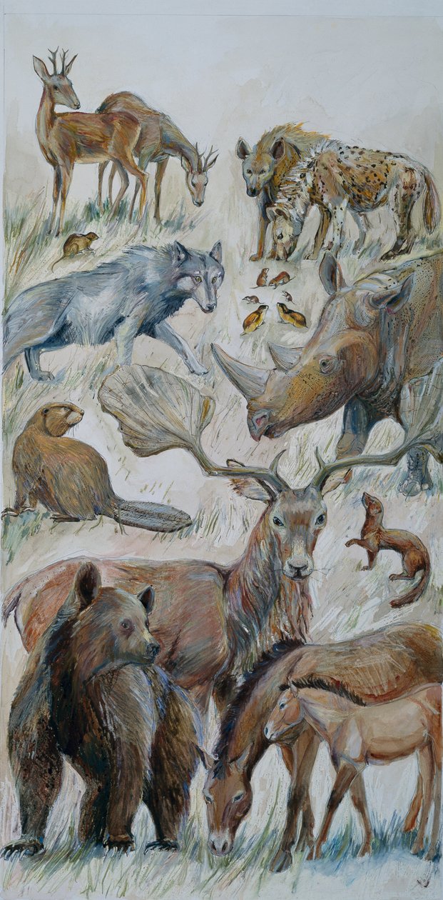 Animaux de Boxgrove identifiés lors des fouilles (aquarelle sur papier) - Judith Dobie
