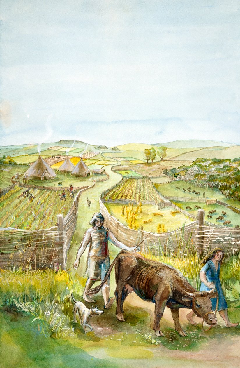 Paysage Rural, 2000 av. J.-C., c. 1990-2010 - Judith Dobie