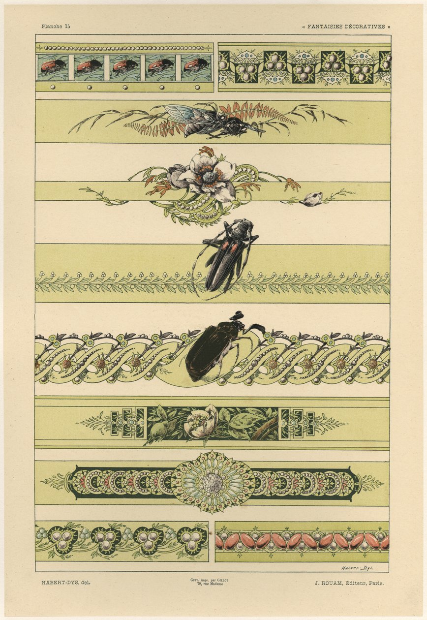 Coléoptères, planche 14 de 
