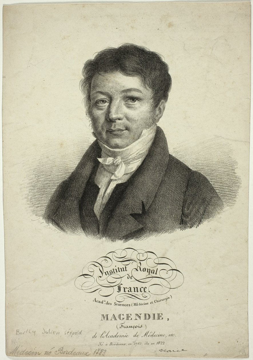 Portrait of François Magendie - Jules Boilly