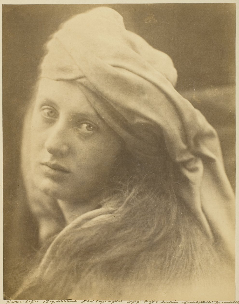 Une étude de Beatrice Cenci - Julia Margaret Cameron
