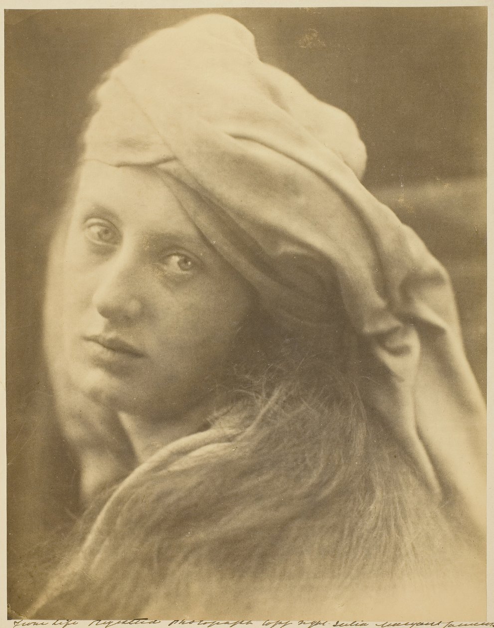 Étude de Beatrice Cenci - Julia Margaret Cameron