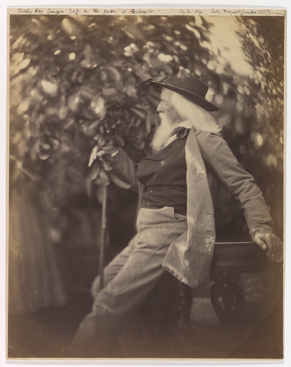 M. Charles Hay Cameron, dans son jardin à Freshwater - Julia Margaret Cameron