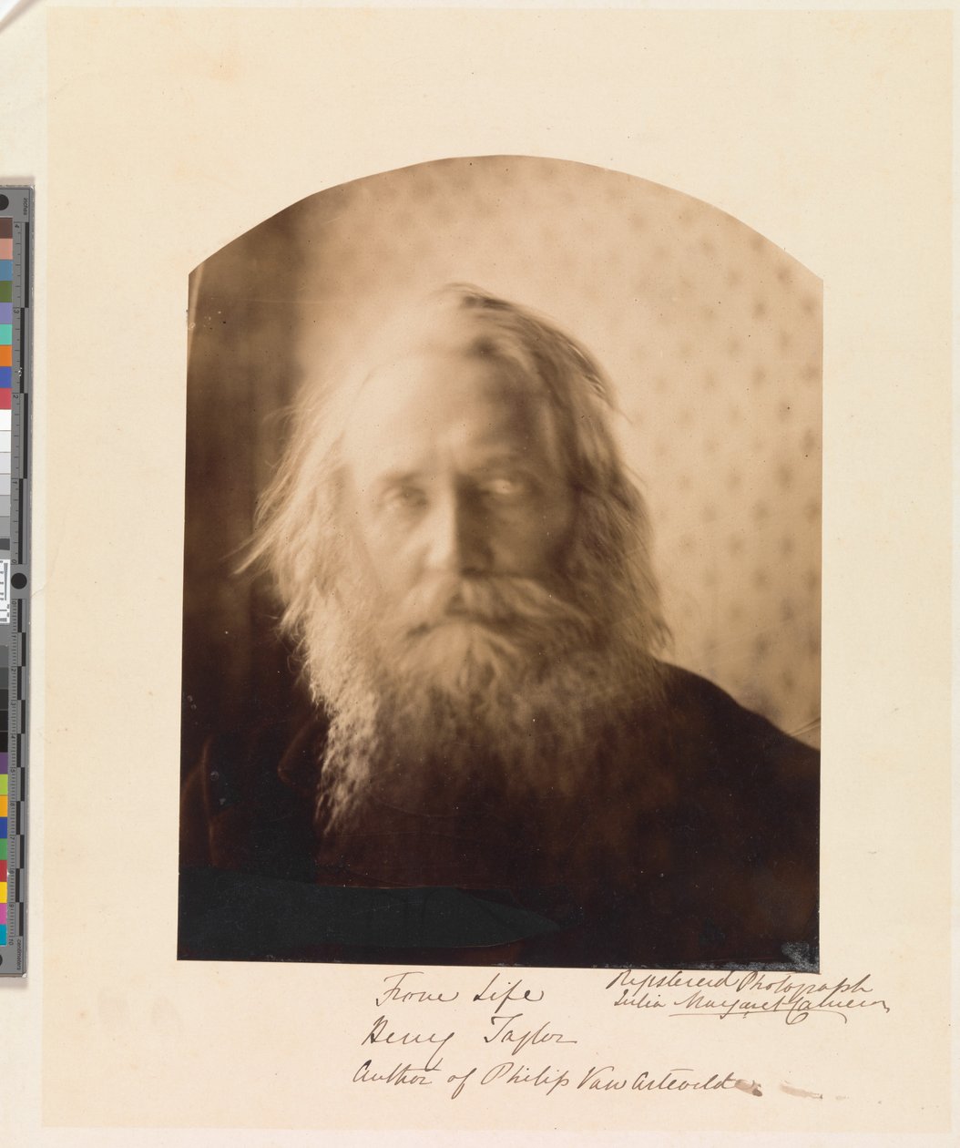 Henry Taylor. Auteur de « Philip Van Artevelde » - Julia Margaret Cameron