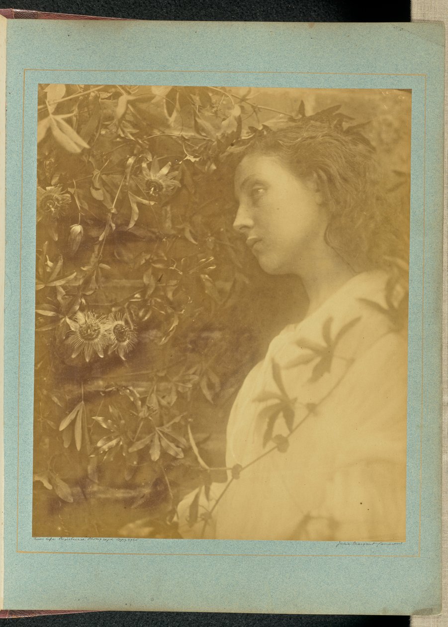 Maud « Une larme magnifique s