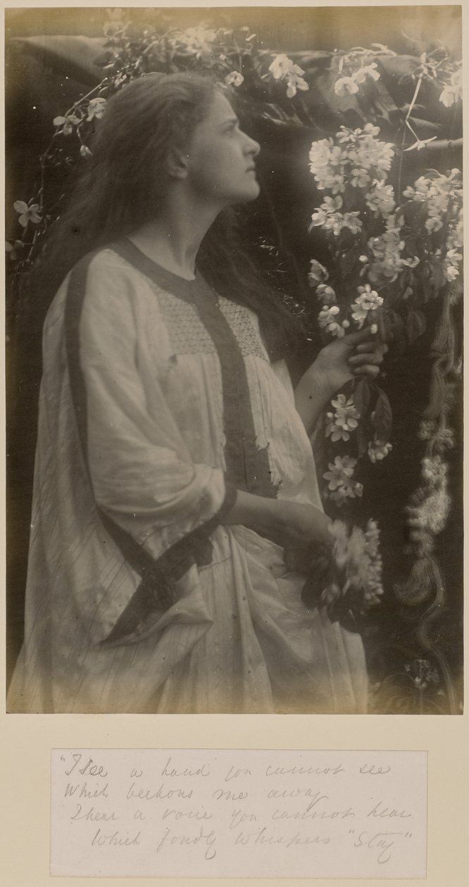 [Printemps] - Julia Margaret Cameron