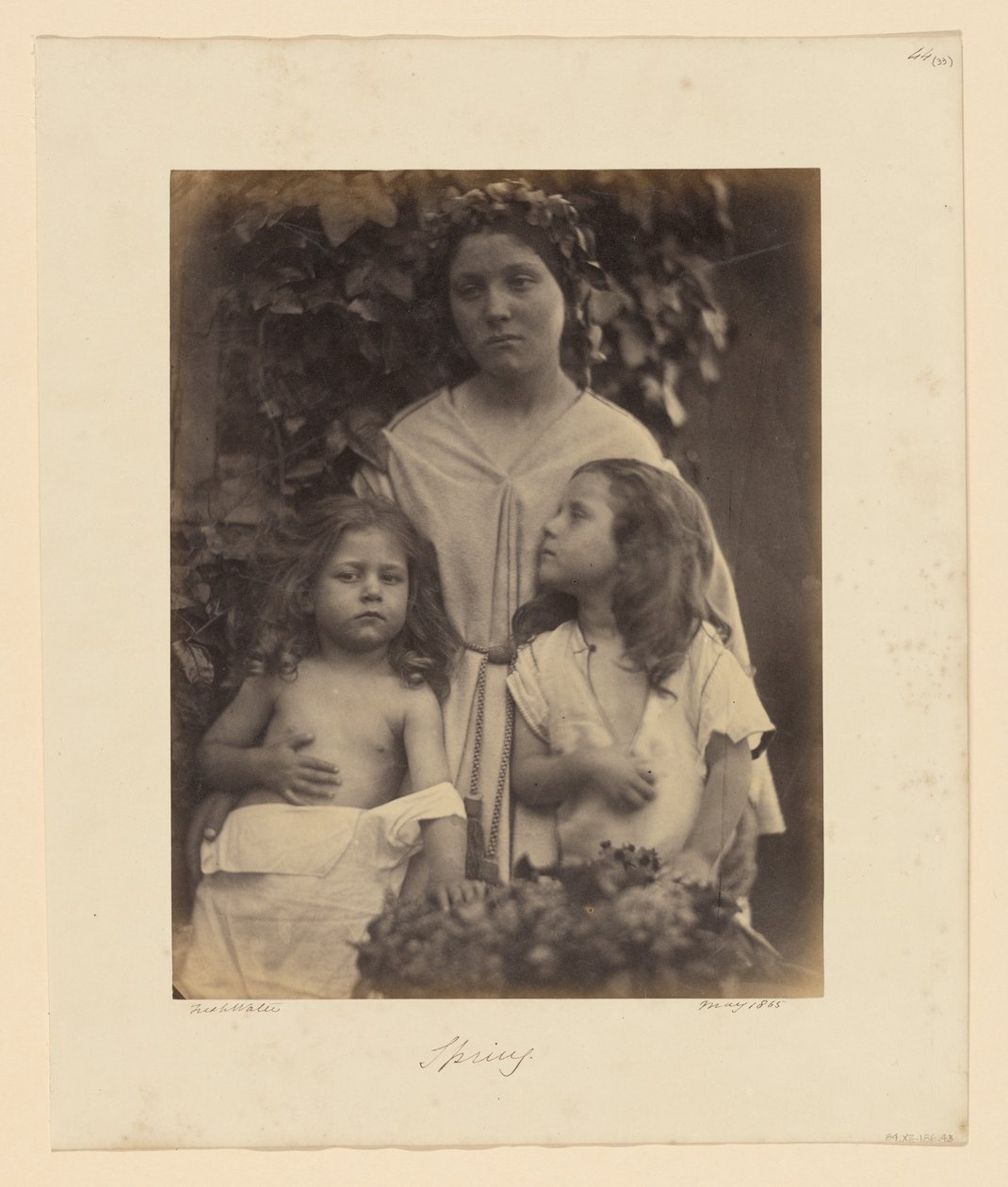 Printemps - Julia Margaret Cameron