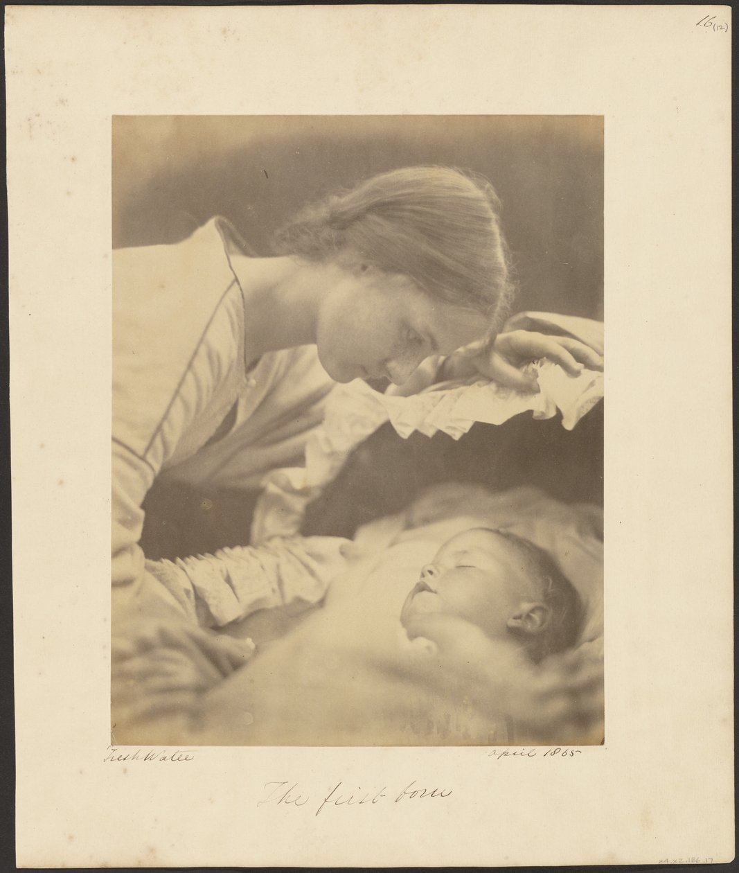 Le premier-né - Julia Margaret Cameron