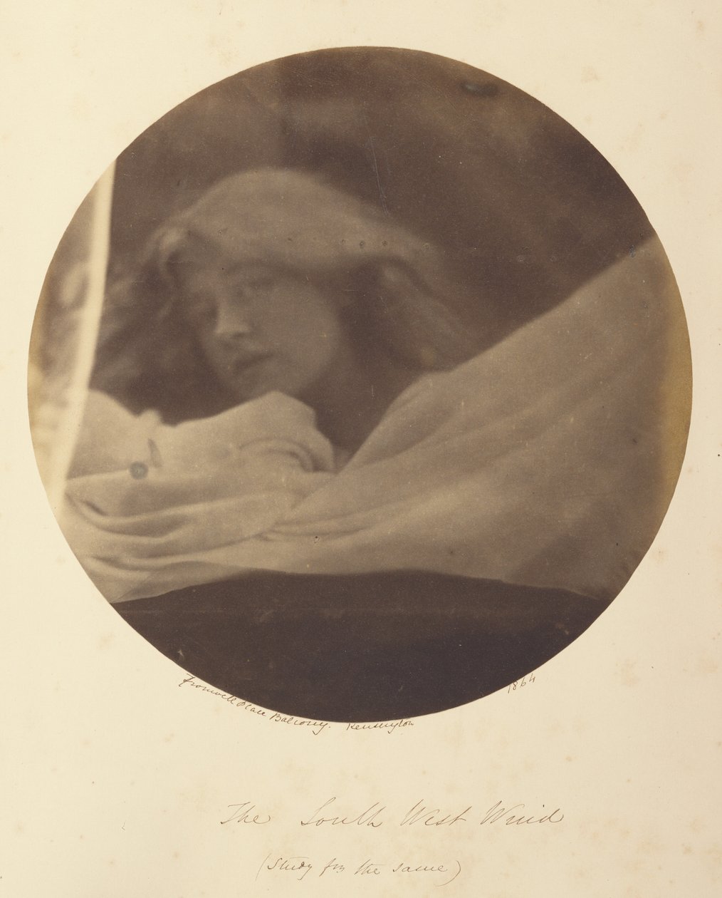 Le vent du sud-ouest - Julia Margaret Cameron