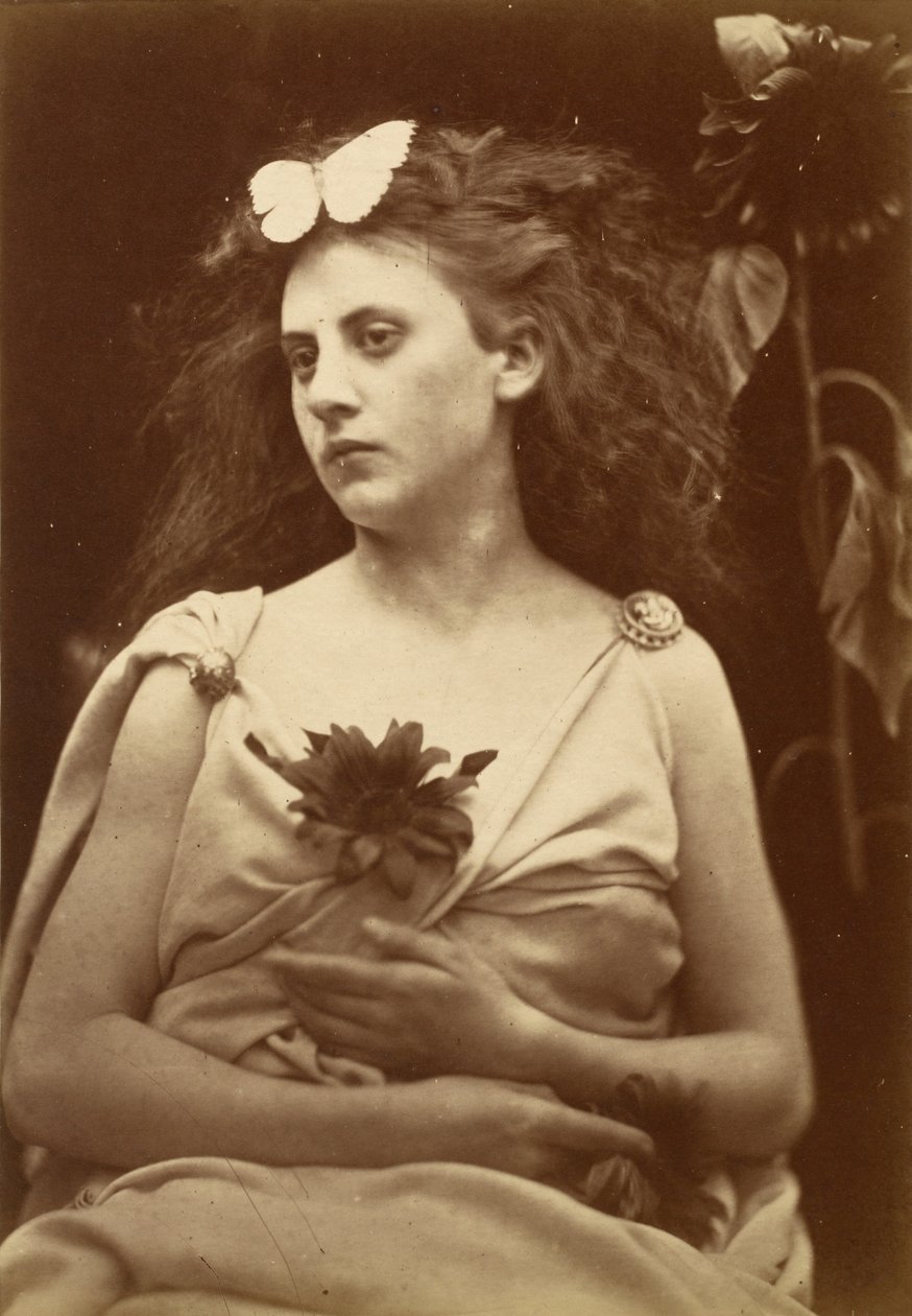 Le Tournesol, début des années 1870 (photo) - Julia Margaret Cameron