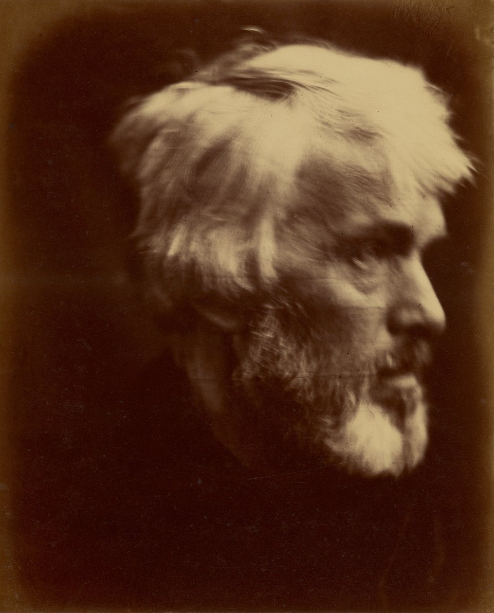 [Thomas Carlyle] - Julia Margaret Cameron