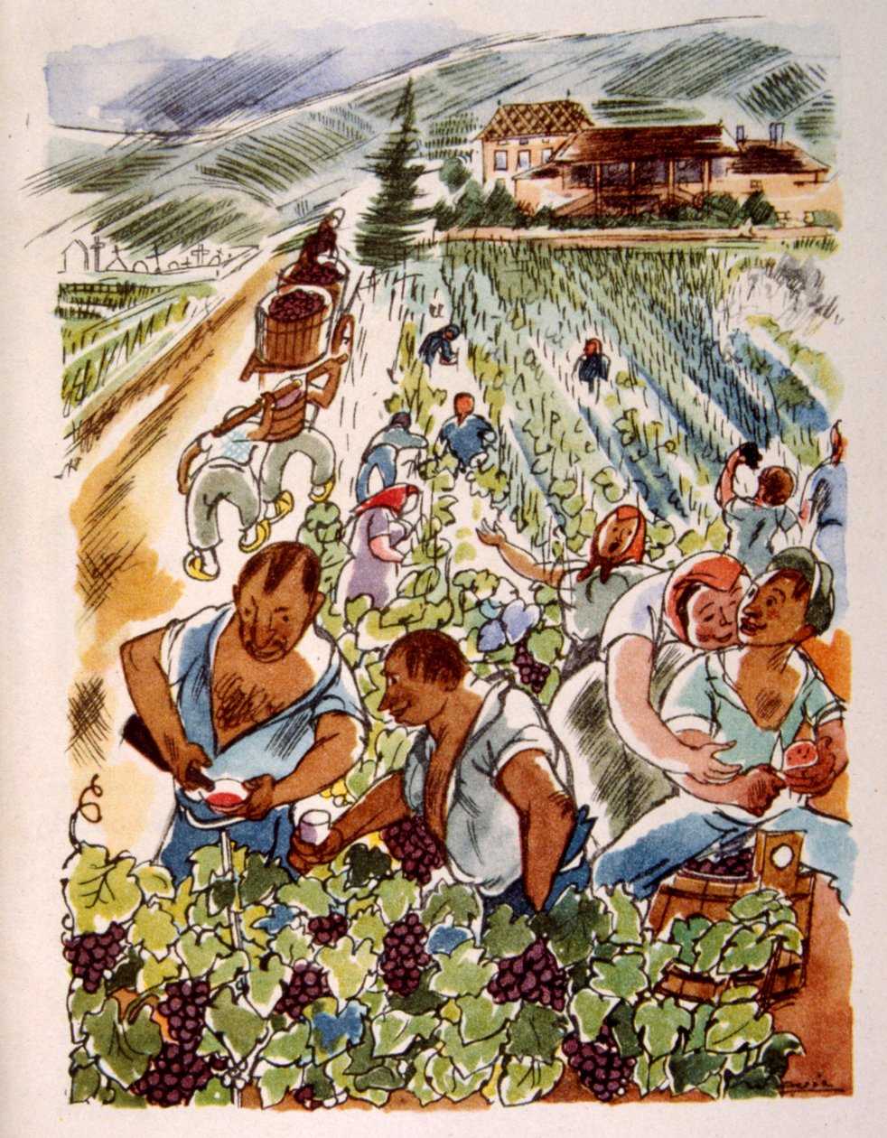 Vignoble français. 1944 - Julien Pavil