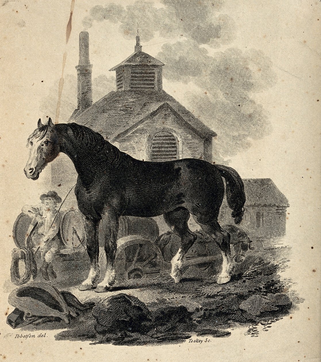 Cheval de trait se tenant devant le trait avec le conducteur de trait - Julius Caesar Ibbetson