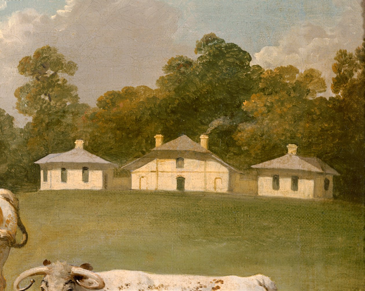 Trois bovins à longues cornes dans un paysage (détail) - Julius Caesar Ibbetson