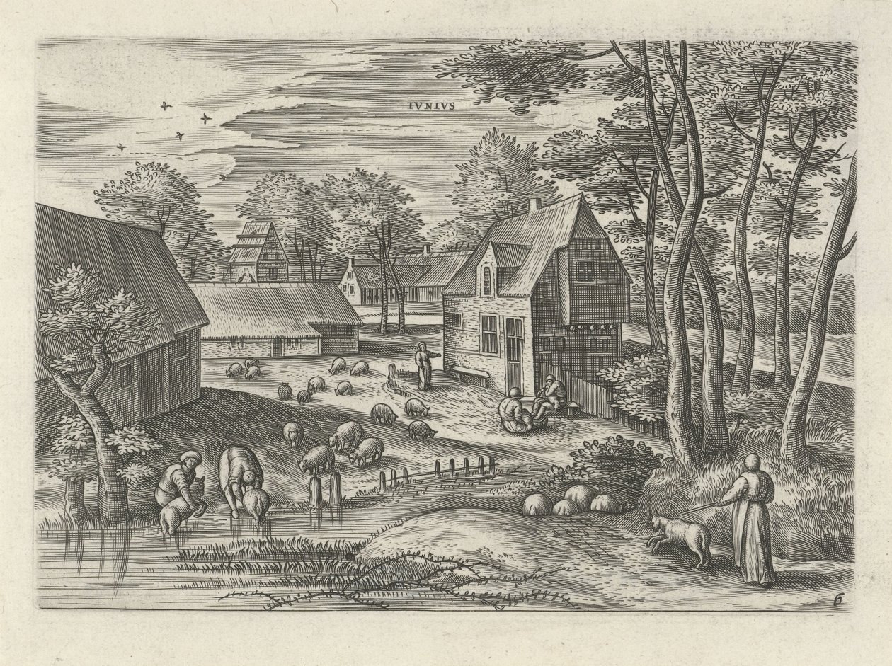 Juin - Julius Goltzius