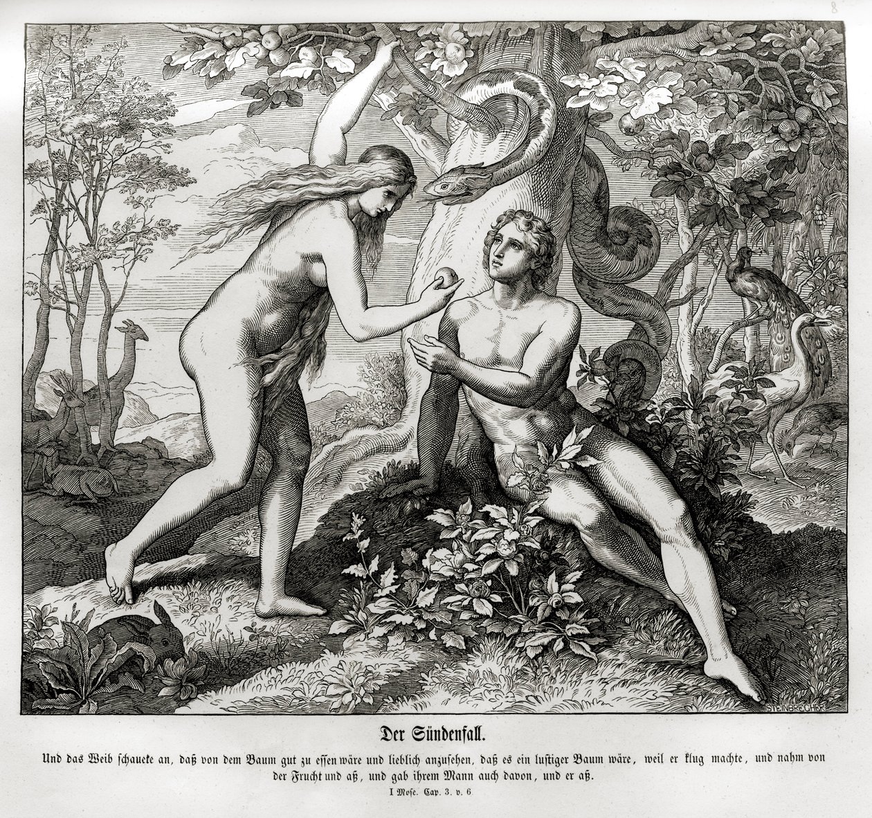 La Chute, Genèse - Julius Schnorr von Carolsfeld