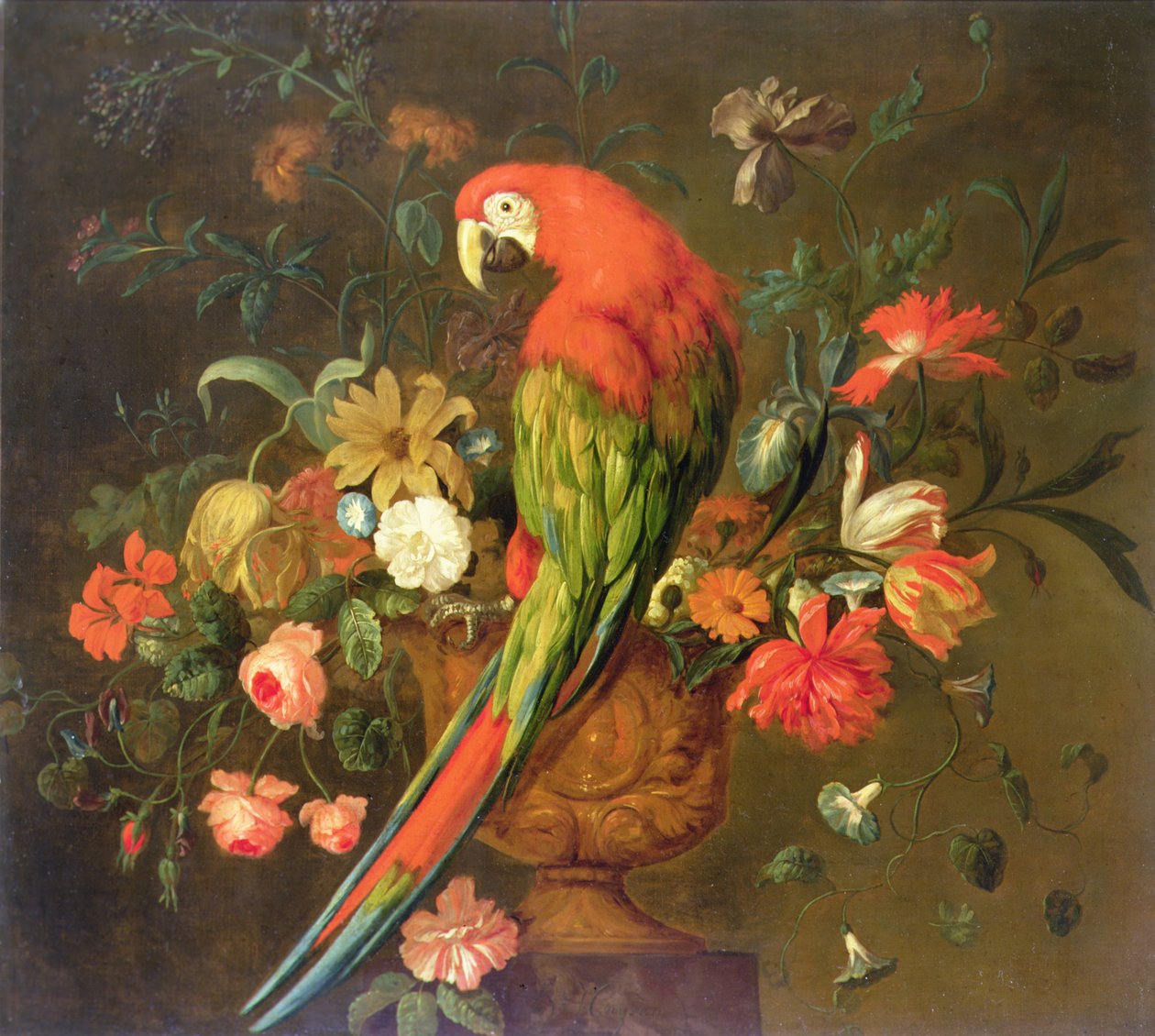 Ara rouge perché sur une urne sculptée avec des fleurs - Justus van Huysum