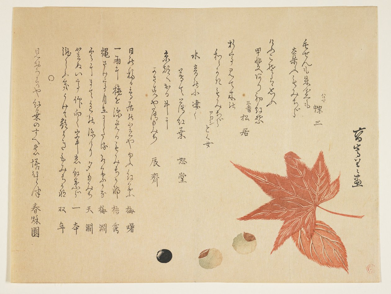 Feuilles et noix d